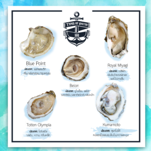 หอยนางรม