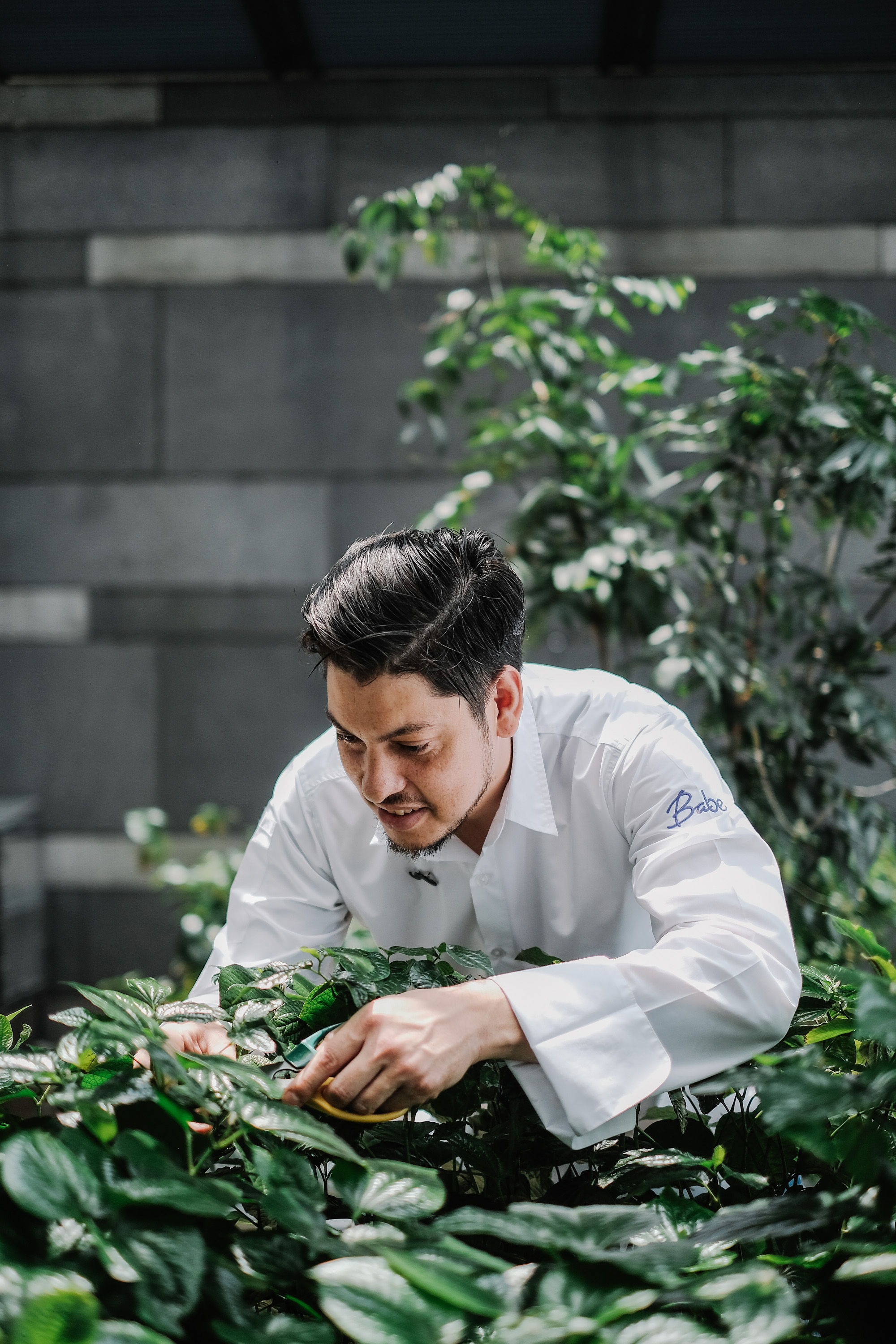 เจฟ แรมซีย์ มิชลินหนุ่มแห่ง “Babe” ร้านชื่อดังของมาเลเซีย มาเยือน เดอะ ...