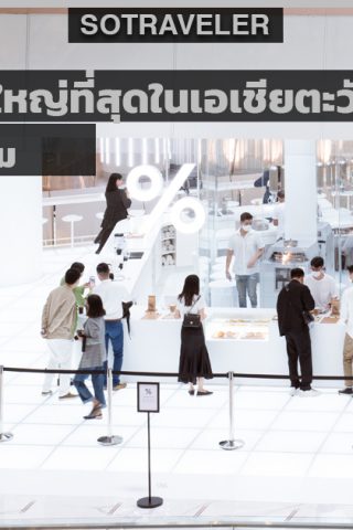 Arabica Iconsiam