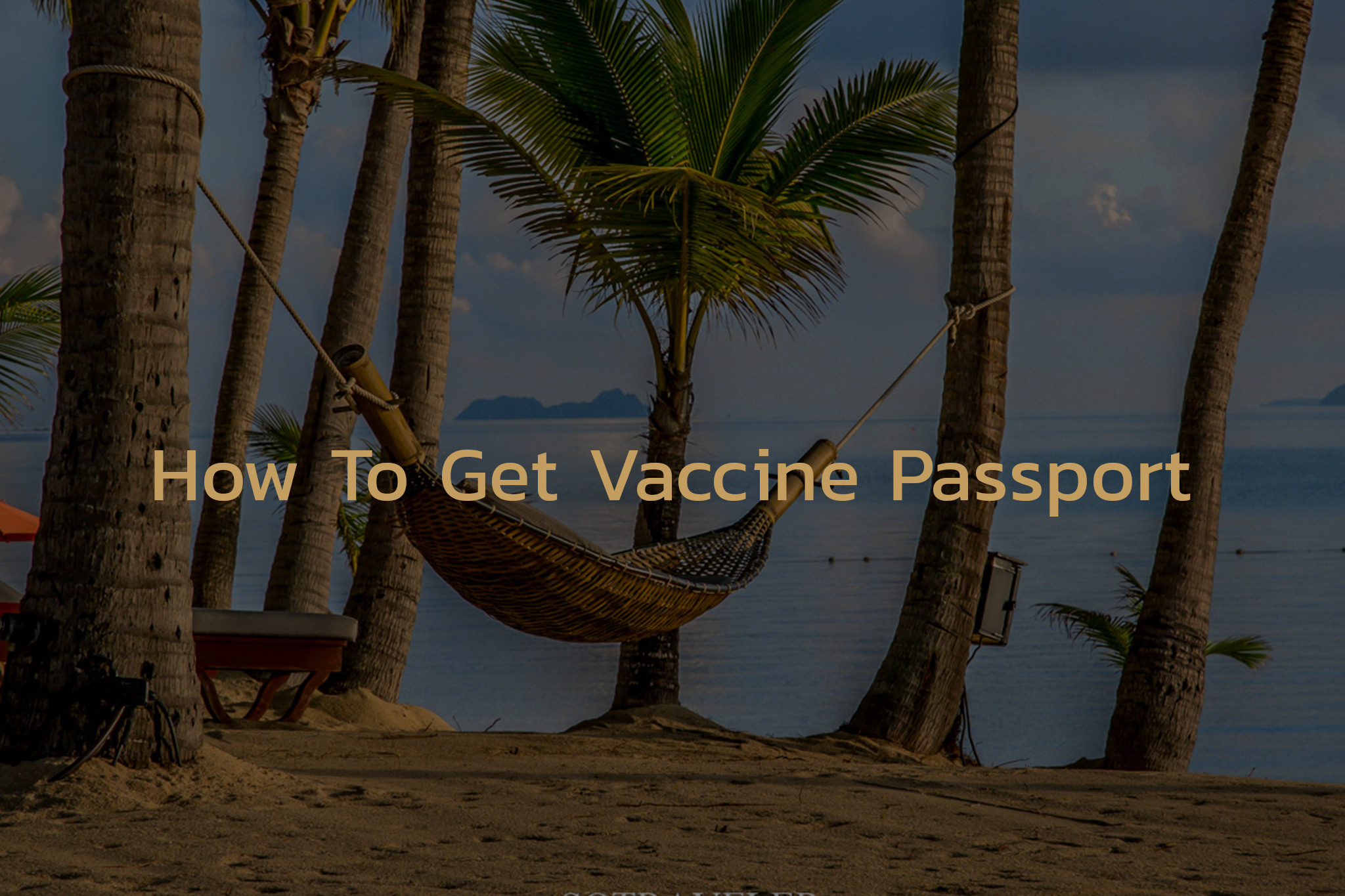 How To Get Vaccine Passport