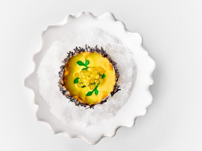 Samudra. Squid Xacuti , Local Sea Urchin, Moily Curry