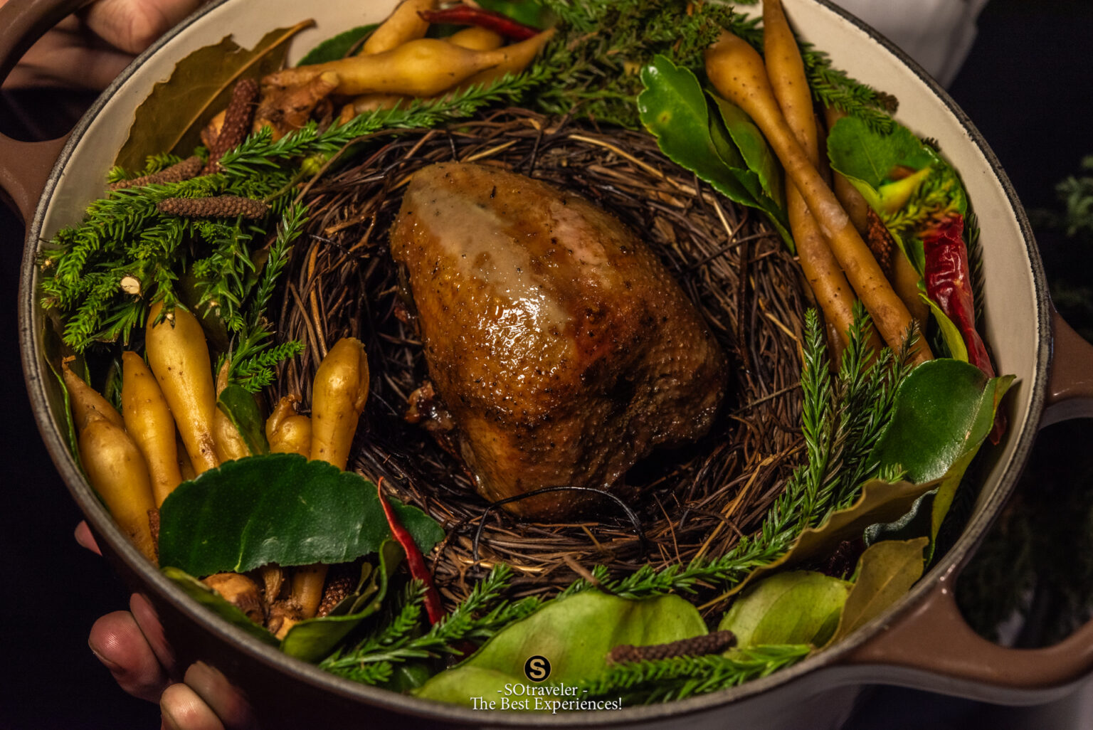 Restaurant Int Chapter 4 Whispers of The Forest