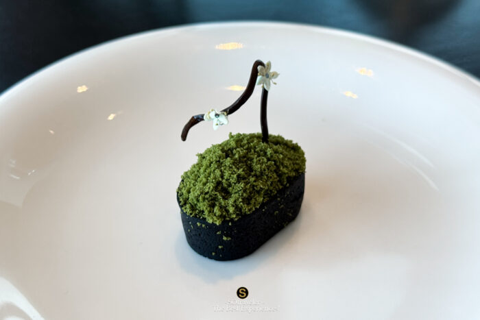 Kikō Matcha Afternoon Tea Collection