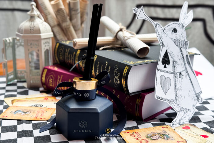 Alice in Wonderland x Journal