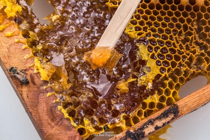 The Rooftop Apiary Experience