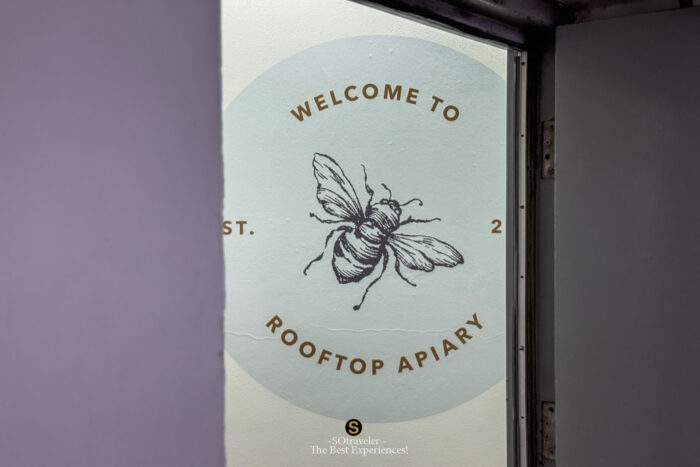 The Rooftop Apiary Experience