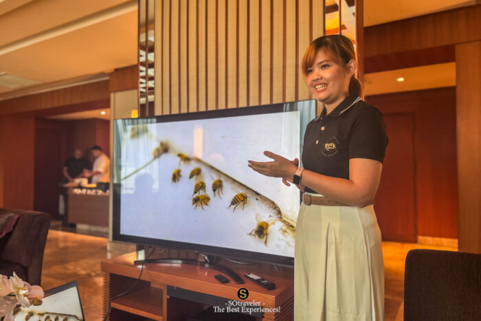 The Rooftop Apiary Experience
