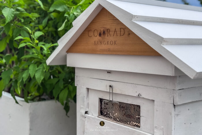 The Rooftop Apiary Experience