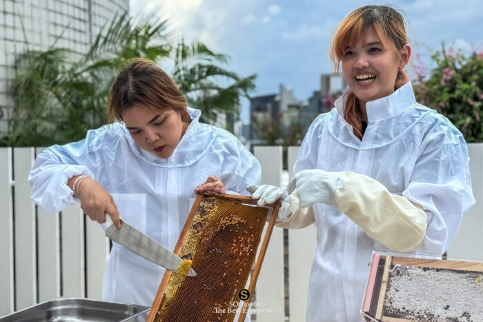 The Rooftop Apiary Experience