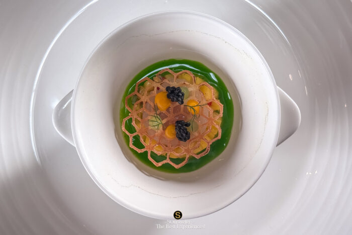 Scallop Ceviche