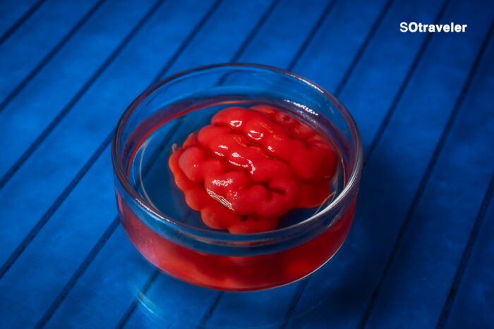 Take Your Brain Out – เครื่องดื่ม Welcome Drink เสิร์ฟในรูปทรงสมอง รังสรรค์จาก Gazpacho, Yuzu และ Cleared Tomato Soup ที่ GALA Bangkok