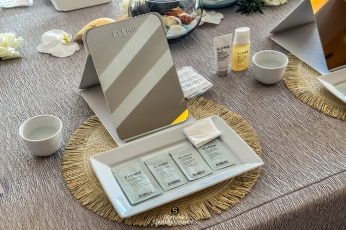 ELEMIS