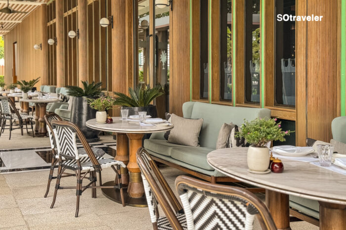 Palmier by Guillaume Galliot