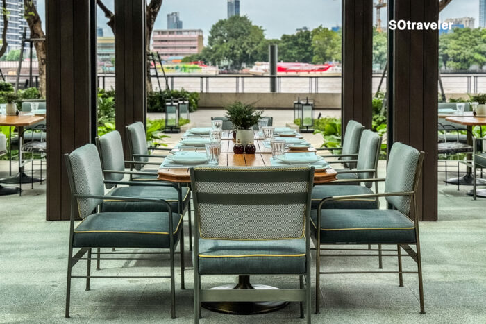 Palmier by Guillaume Galliot