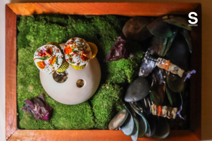 Exploration Tray