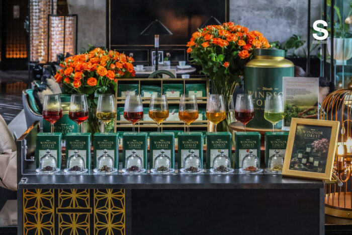 Windsor Forest Collection by Dilmah