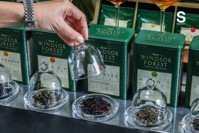 Windsor Forest Collection by Dilmah