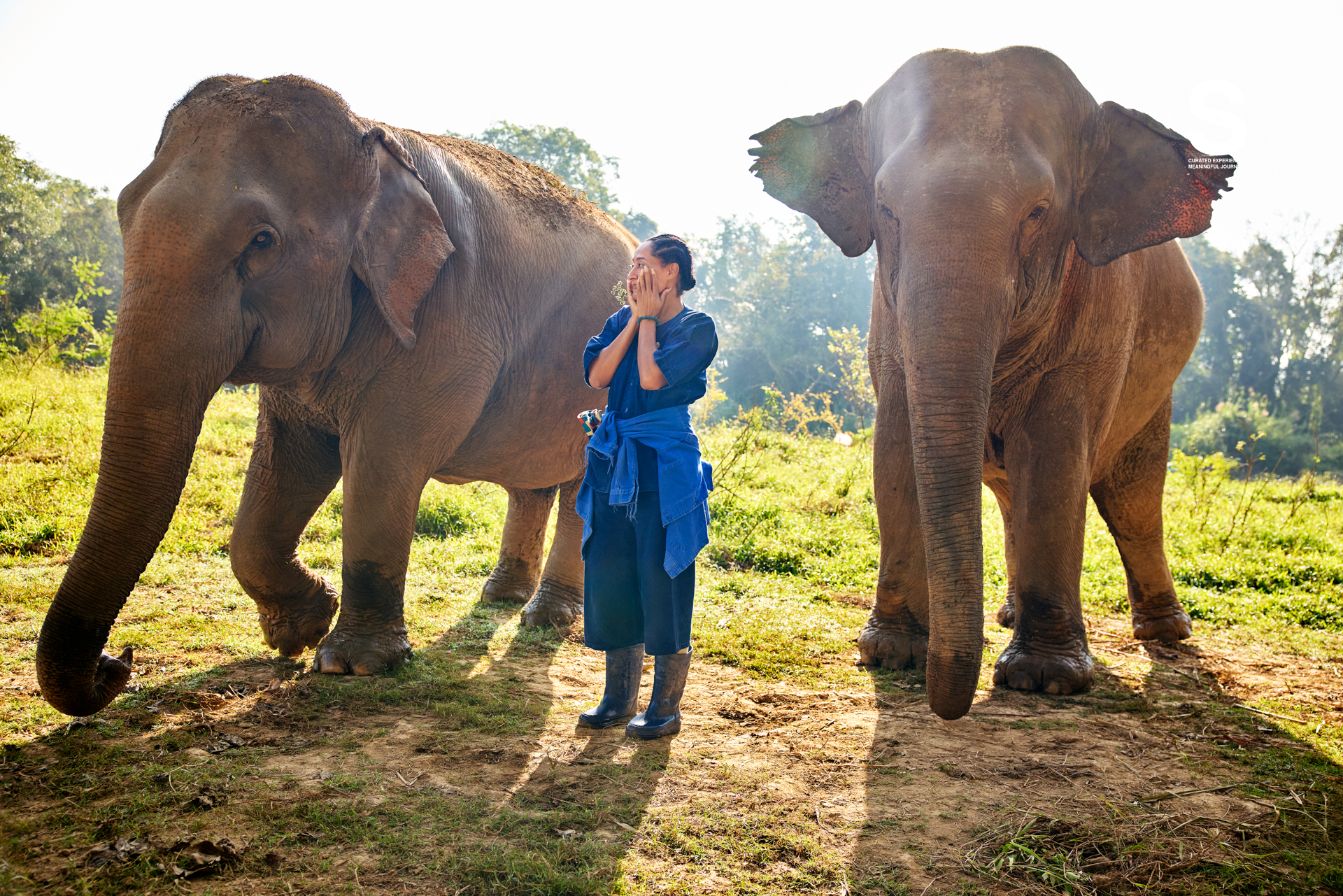 Anantara Golden Triangle: Tracee Ellis Ross Solo Travel