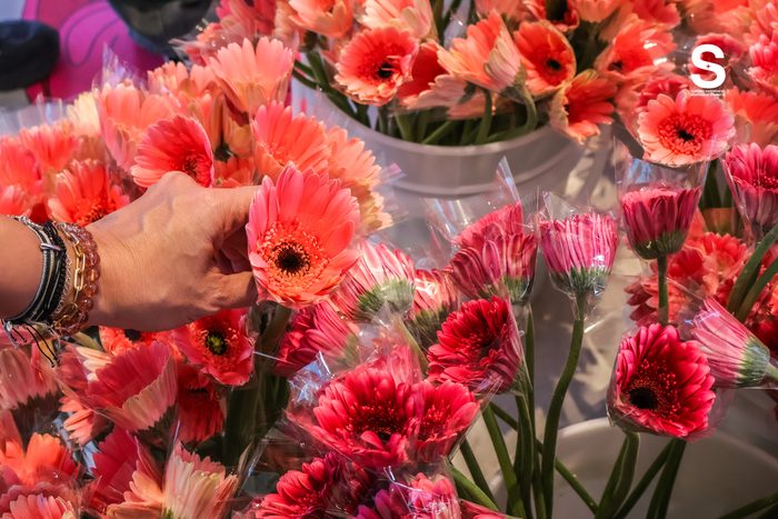Bangkok Flower Festival 2026