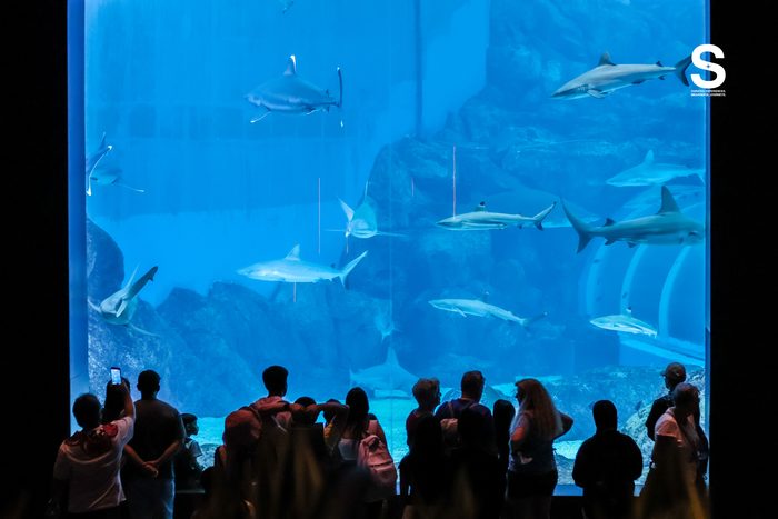 Singapore Oceanarium