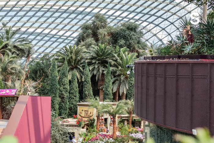 Gardens by the Bay