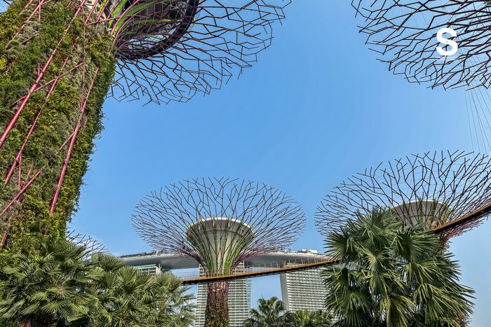 Gardens by the Bay
