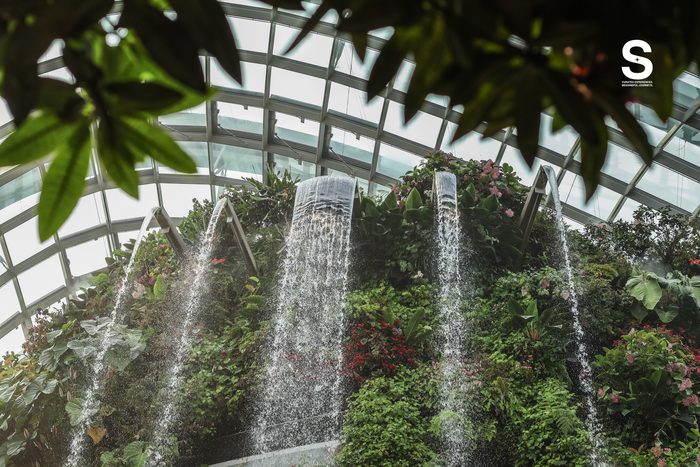 Gardens by the Bay