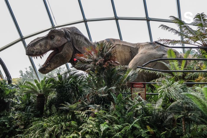Gardens by the Bay