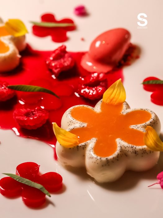 Vanilla Panna Cotta