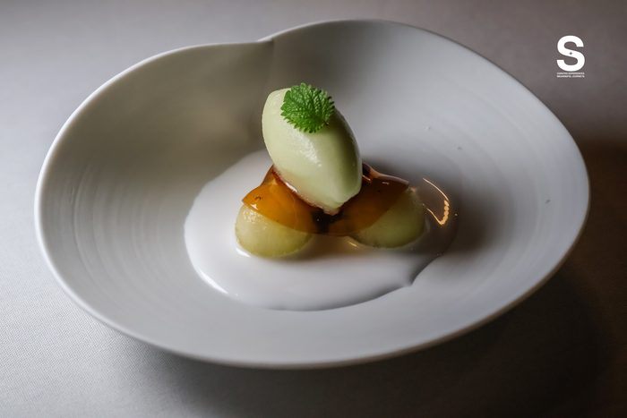 SHIZUOKA AMANE MELON