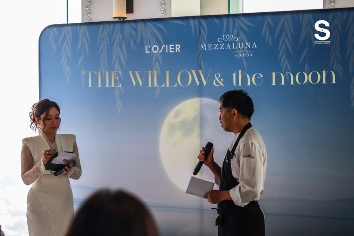The Willow & The Moon
