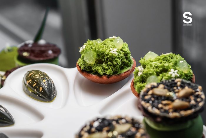 Genmaicha Sudachi Cheese Tart
